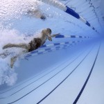 swimmers-79592_1280