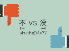 不 VS 没