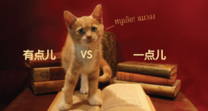 有点儿 一点儿