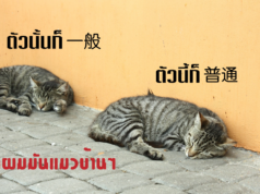 一般 普通