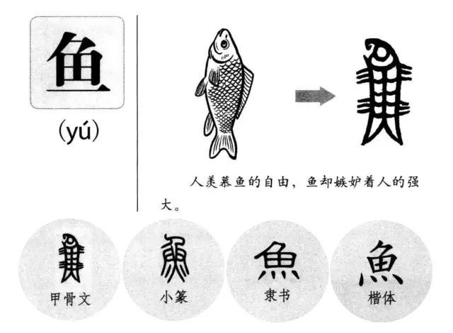 鱼 -  形象字