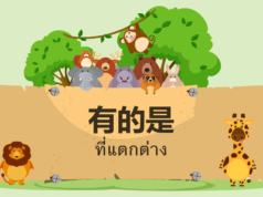 有的是 แปลว่าอะไร “มีแล้วคือ” เหรอ?? 有的是-ที่แตกต่าง