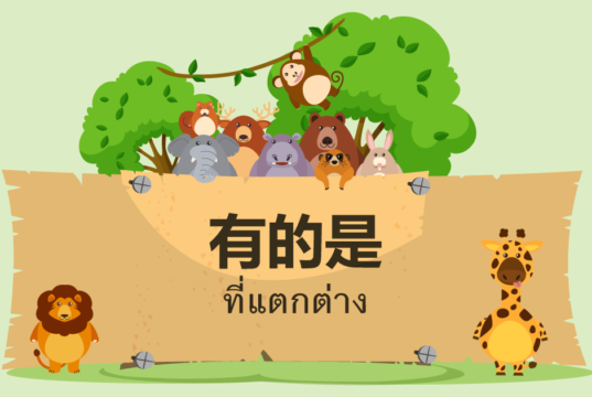 有的是-ที่แตกต่าง