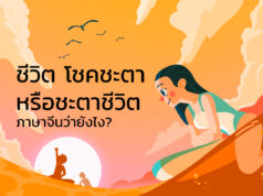 ชีวิต โชคชะตา หรือชะตาชีวิต